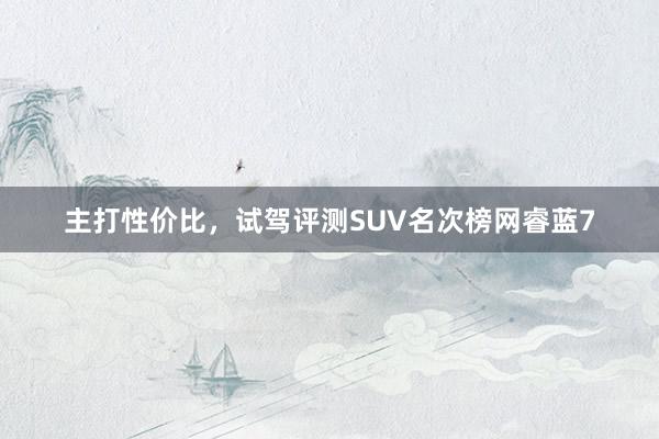 主打性价比，试驾评测SUV名次榜网睿蓝7