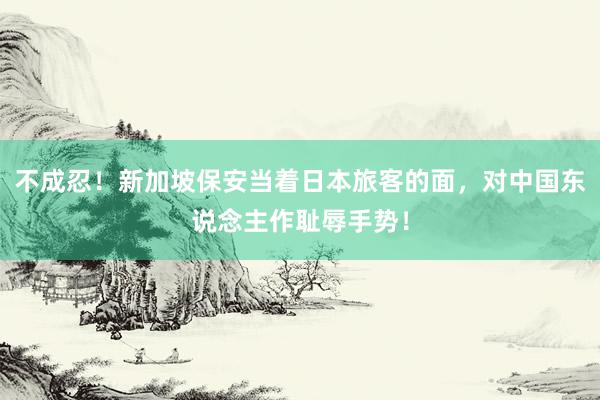 不成忍！新加坡保安当着日本旅客的面，对中国东说念主作耻辱手势！