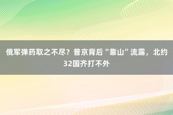 俄军弹药取之不尽？普京背后“靠山”流露，北约32国齐打不外