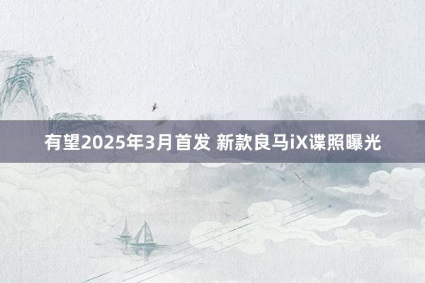 有望2025年3月首发 新款良马iX谍照曝光