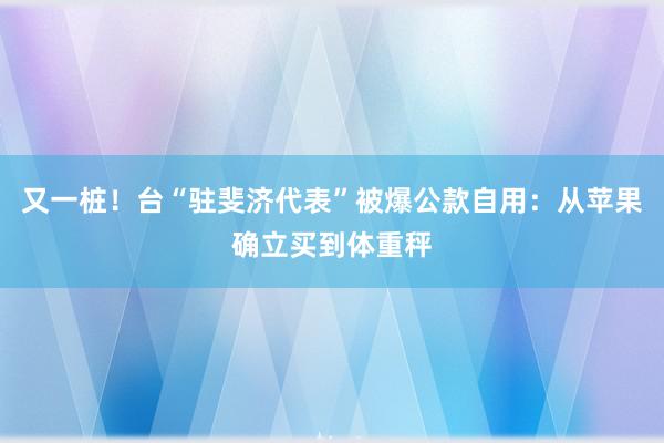 又一桩！台“驻斐济代表”被爆公款自用：从苹果确立买到体重秤