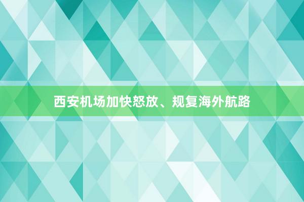 西安机场加快怒放、规复海外航路