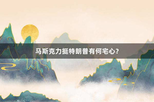 马斯克力挺特朗普有何宅心？