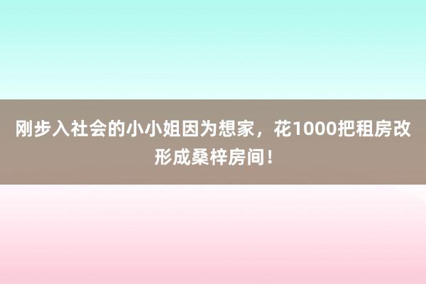 刚步入社会的小小姐因为想家，花1000把租房改形成桑梓房间！