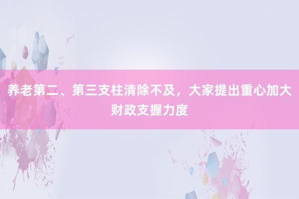 养老第二、第三支柱清除不及，大家提出重心加大财政支握力度