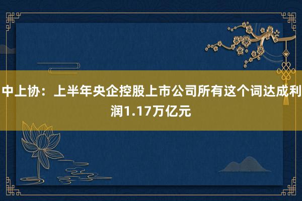 中上协：上半年央企控股上市公司所有这个词达成利润1.17万亿元