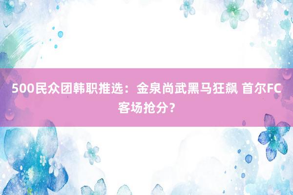 500民众团韩职推选：金泉尚武黑马狂飙 首尔FC客场抢分？