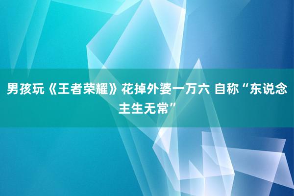 男孩玩《王者荣耀》花掉外婆一万六 自称“东说念主生无常”