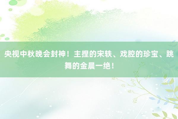 央视中秋晚会封神！主捏的宋轶、戏腔的珍宝、跳舞的金晨一绝！