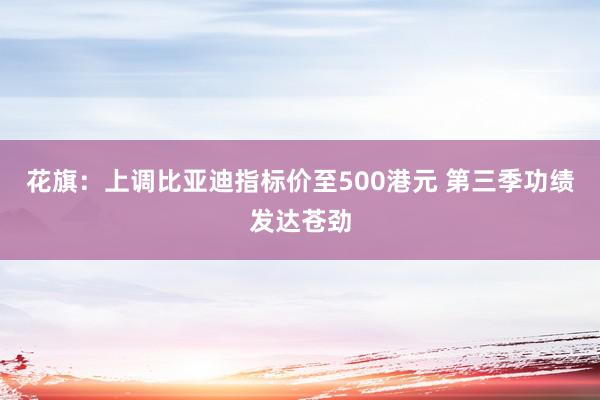 花旗：上调比亚迪指标价至500港元 第三季功绩发达苍劲