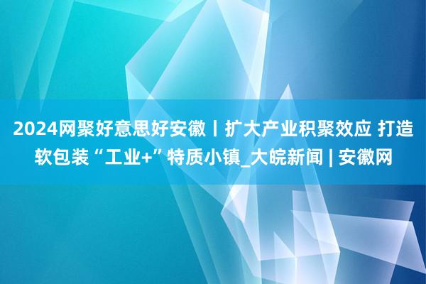 ﻿2024网聚好意思好安徽丨扩大产业积聚效应 打造软包装“工业+”特质小镇_大皖新闻 | 安徽网